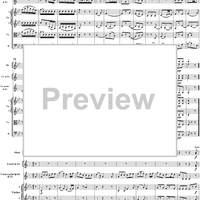 Horn Concerto No. 2 in E-flat Major, K417