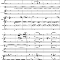 Piano Concerto No. 17 in G Major, Movement 1 (K453) - Full Score