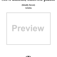 Selve amiche, ombrose piante  (Kindly Forest)