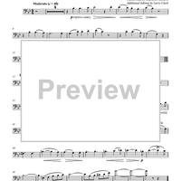 Song to the Evening Star from the Opera Tannhäuser