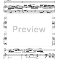 Variations on “Là ci darem la mano”