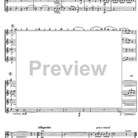 Divertimento preistorico - Score