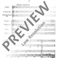 Horn Concerto No. 2 Eb major in E flat major - Full Score