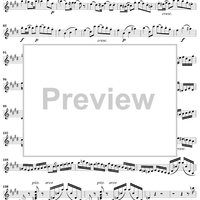 Violin Concerto in E Minor - Violin