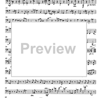 Jubilee Concerto for Celeia - Cello