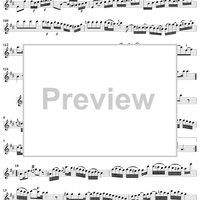 Flute Sonata No. 1 in B Minor, BWV1030 - Flute