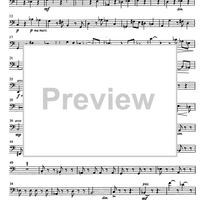 Jubilee Concerto for Celeia - Double Bass