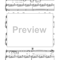 Bright Lights and Cityscapes