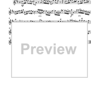 Largo from The Four Seasons - Violin 1