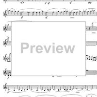 String Quintet C Major Op.29 - Violin 1