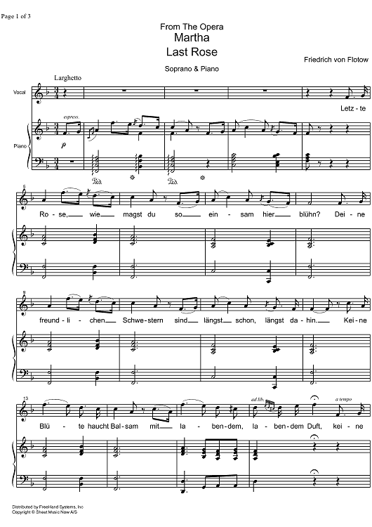 Last Rose from Martha