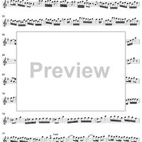 Flute Concerto in G Major, Op. 10, No. 6 - Flute