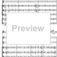 Contrabbasso concertante - Score