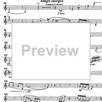 Concerto - B-flat Clarinet/Basset Horn 3