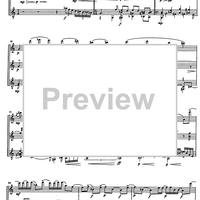 Impromptu No.25 Op.84 - Score
