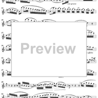 Grand Duo in E Minor, Op. 39, No. 1 - Flute 1