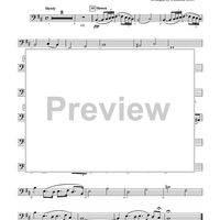 Summertime - String Bass