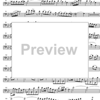 Concerto Bb Major KV191 - Bassoon