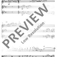 Flute Fun - Performing Score