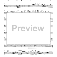 Allegro Moderato from Concerto, Op. 14