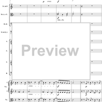 Agnus Dei, No. 12 from Mass No. 19 (Requiem) in D Minor, K626 - Full Score