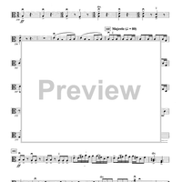 Perseus - Opt. Viola