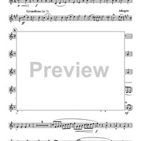 Turkey in the Straw - Oboe d'amore (opt. Oboe 2)