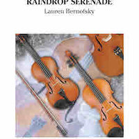 Raindrop Serenade - Double Bass