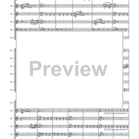 Circuite Suicus - Score