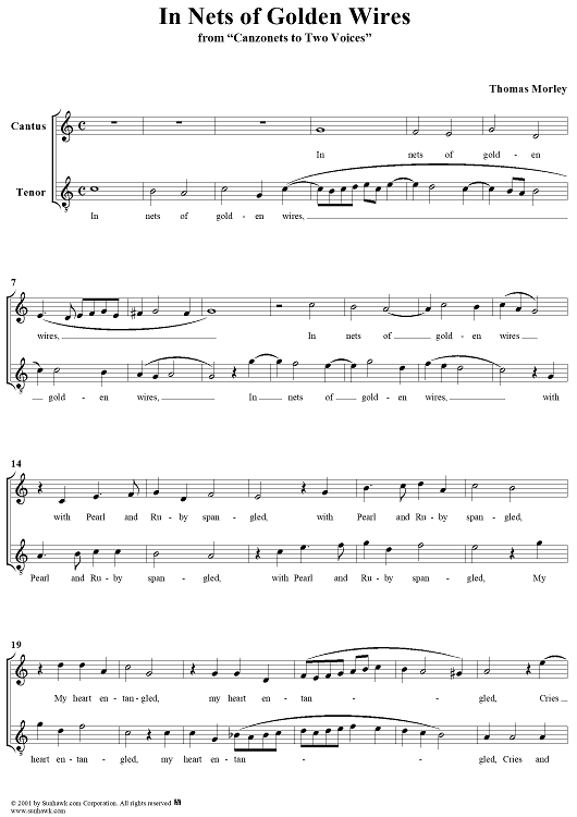 In Nets of Golden Wires