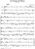 Trio Sonata in B minor, op. 2, no. 8