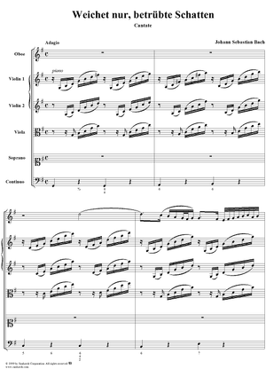Weichet nur, betrübte Schatten, BWV202