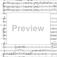 Horn Concerto No. 3 in E-flat Major, K447