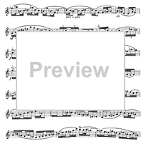 The Accomplished Clarinettist Vol. 2 - Clarinet