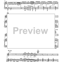 Queen Of The Winter Night