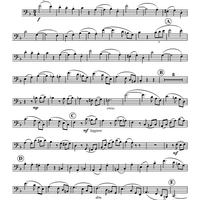 Sonata For Basson And Piano - Bassoon