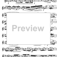 The Accomplished Clarinettist Vol. 1 - Clarinet