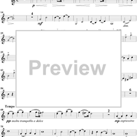 Easy Sonata in G Major for violin and piano - Violin 1