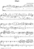 Allegro