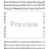 The Royal Fireworks Music - Score