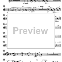 Shoshanna - B-flat Soprano Saxophone