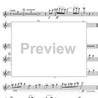 Concertino - Piccolo