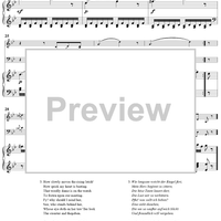 Twenty five Irische Lieder