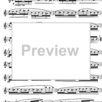 The Accomplished Clarinettist Vol. 2 - Clarinet