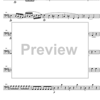 Divertimento No.17 D Major KV334 - Double Bass