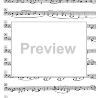 Blue zymotic - Score