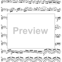 Violin Concerto in E Minor - Violin