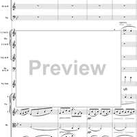 Violin Concerto No. 1, Movement 1 - Score