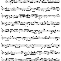 "Ich will nach dem Himmel zu", Aria, No. 3 from Cantata No. 146: "Wir müssen durch viel Trübsal" - Violin