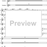 Le carnaval des animaux - Percussion